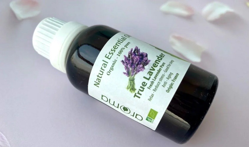 Tinh dầu Lavender Aroma