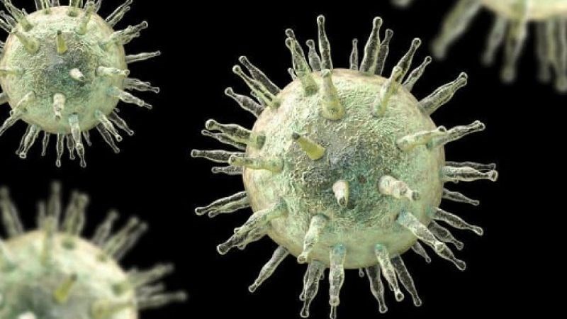 Virus Epstein-Barr (EBV) là nguyên nhân của ung thư biểu mô vòm họng và ung thư biểu mô dạ dày