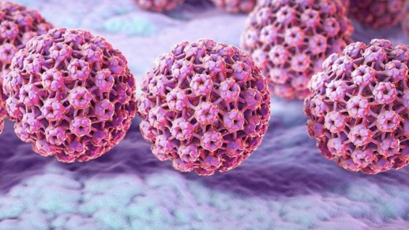 HPV là nguyên nhân chính gây ung thư cổ tử cung ở phụ nữ