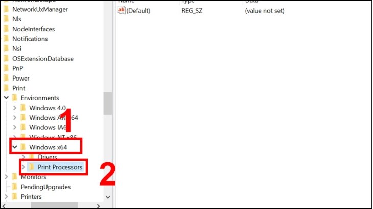 Chọn Print Processors ở mục Windows x64