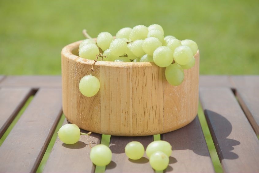 Khuyến nghị về khẩu phần ăn