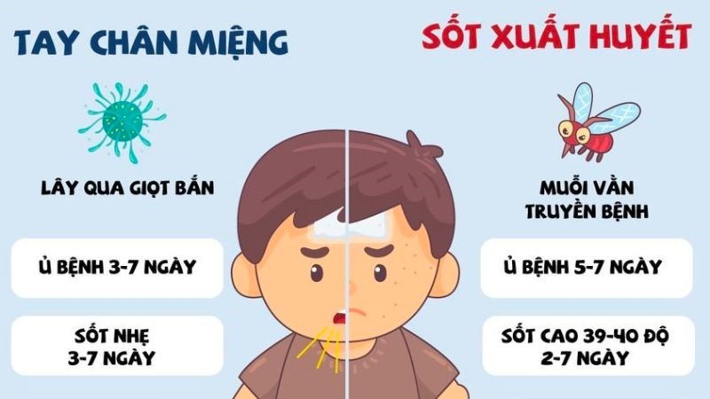 Phân biệt bệnh tay chân miệng và sốt xuất huyết đầu tiên qua triệu chứng sốt