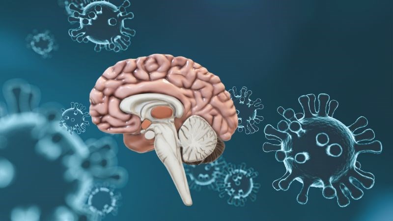 Biến chứng ở não là biến chứng nặng nhất mà người nhiễm siêu vi có thể mắc phải