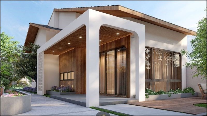 Cây ngũ gia bì giúp làm sạch không khí và chống ô nhiễm