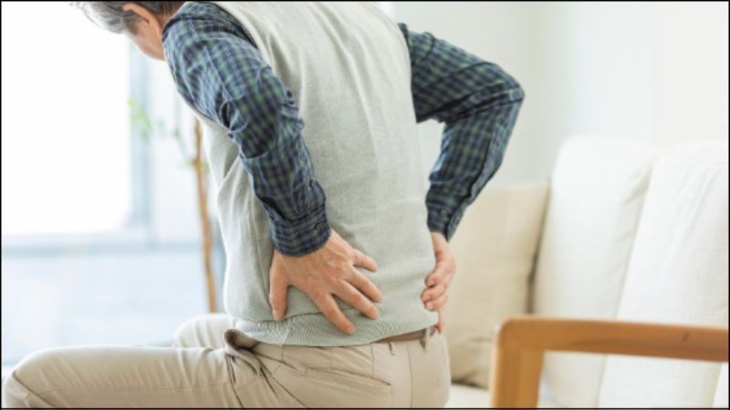 Bài thuốc trị liệt dương, mệt mỏi, đau nhức xương khớp do phong thấp