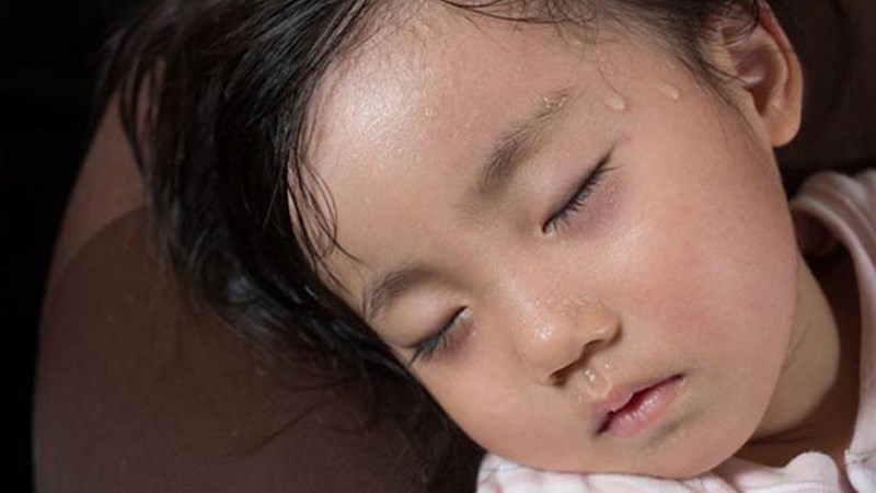 Hoàng liên kết hợp với vỏ quế khô để trị tình trạng đổ mồ hôi trộm về đêm