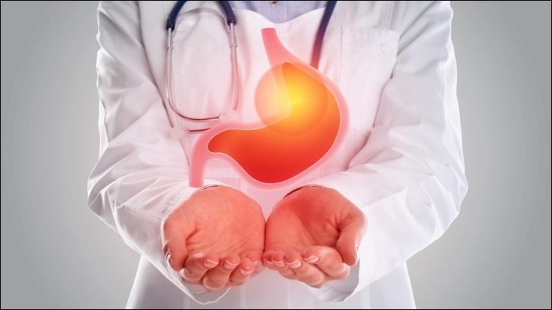 Hoàng liên còn có công dụng giúp cải thiện tiêu hóa