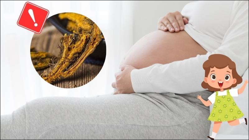 Phụ nữ mang thai và trẻ em cần thận trọng khi sử dụng hoàng liên