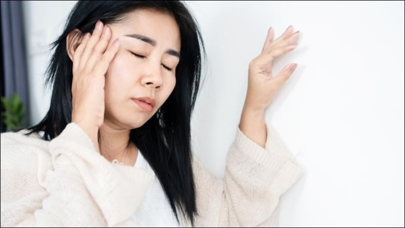Hoàng liên có thể sẽ gây chóng mặt, mệt mỏi khi sử dụng