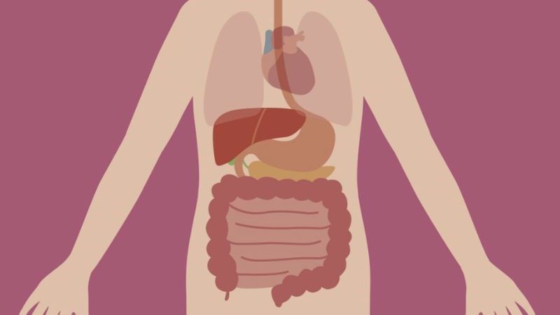 Xạ trị cho vùng bụng hoặc chậu sẽ gây ảnh hưởng đến đường tiêu hoá