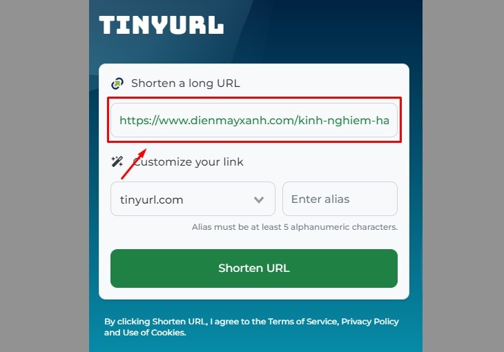 Dán link bạn cần rút gọn vào ô Enter a long URL to make a TinyURL