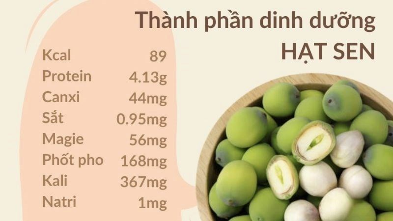 Trong thành phần của hạt sen có chứa chất alcaloid tự nhiên giúp kháng viêm