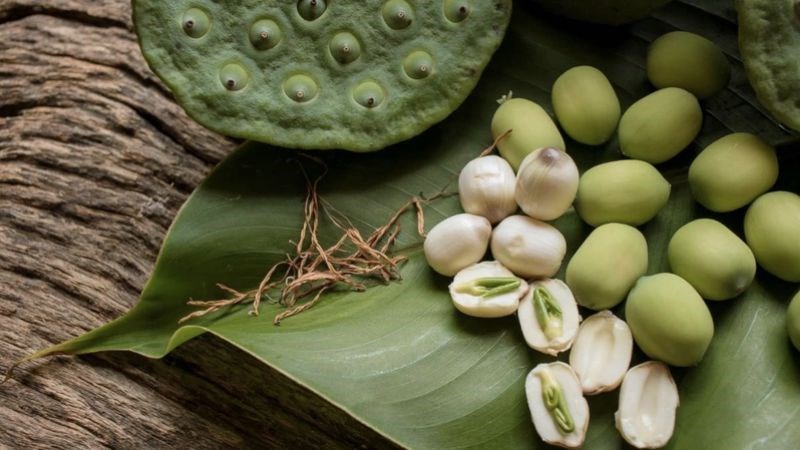 Bạn nên hạn chế ăn hạt sen sống do có thể nhiễm ký sinh trùng