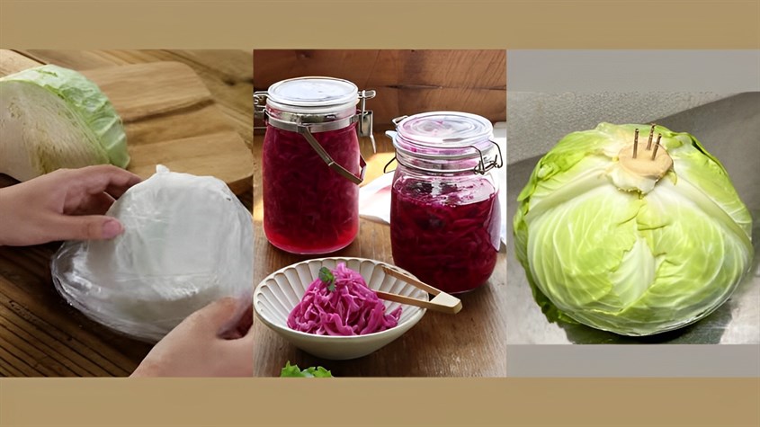 Bảo quản bắp cải bằng cách bọc kín, muối chua và bảo quản bắp cải không cần tủ lạnh bằng tăm