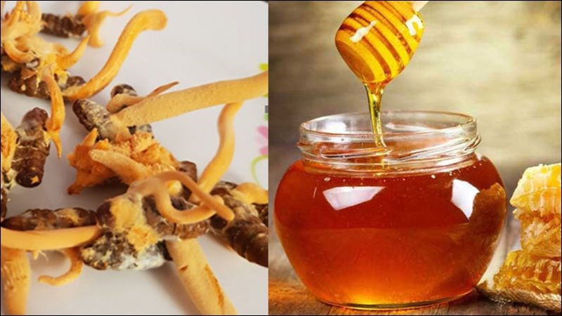 Không nên uống đông trùng hạ thảo ngâm mật ong quá nhiều hoặc trong thời gian dài
