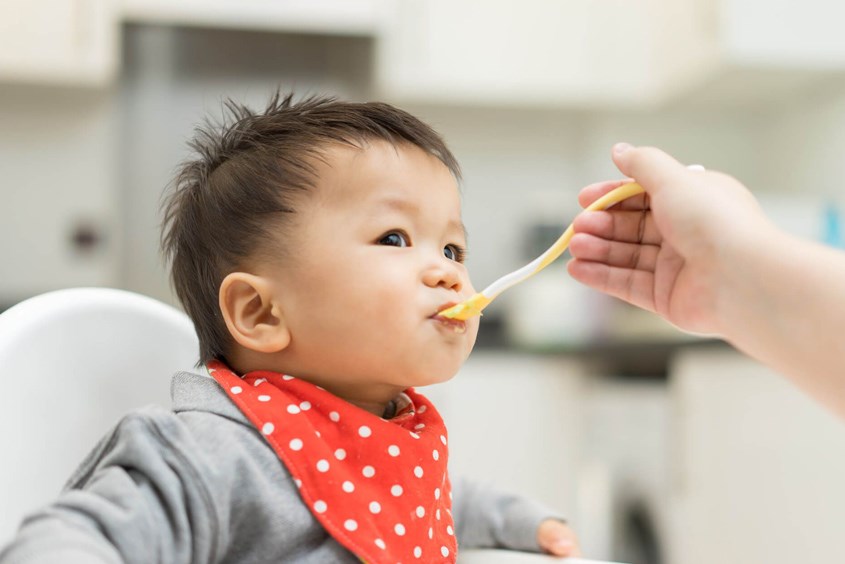 Trẻ 6 tháng tuổi trở lên có thể ăn dặm với hạt macca