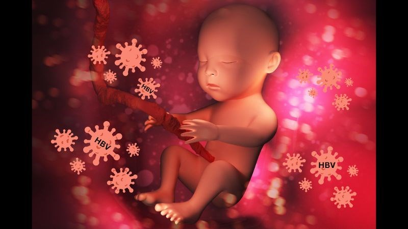 Viêm gan B có thể lây truyền từ mẹ cho thai nhi