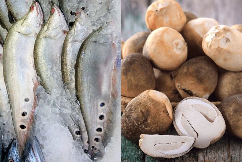 Cháo cá thác lác nấm rơm là món bổ dưỡng cho bé