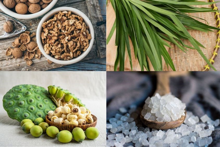 Nguyên liệu đơn giản làm sữa óc chó cho bé với hạt sen