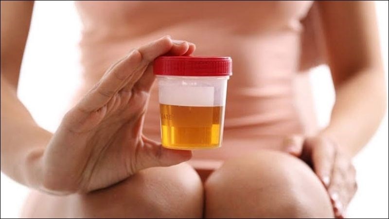 Rau đắng đất còn giúp giải quyết các vấn đề về đường tiết niệu