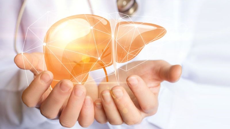 Rau đắng đất có hiệu quả lợi mật, nhuận gan rất tốt