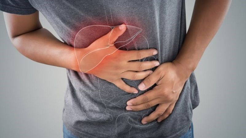Rau đắng đất hỗ trợ điều trị đau gan hiệu quả