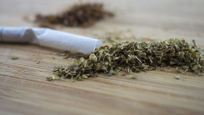 Cỏ mỹ có nguồn gốc từ mỹ, có tên gọi tiếng anh là Spice hoặc Cannabinoids