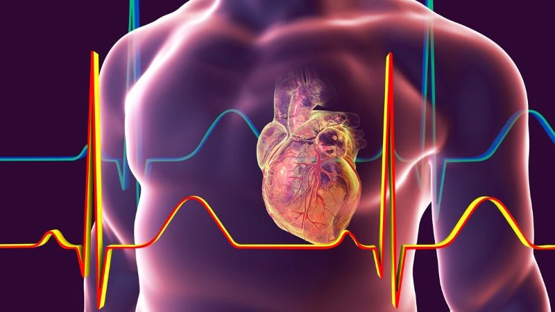 Sử dụng cỏ mỹ khiến nhịp tim và huyết áp tăng đột ngột
