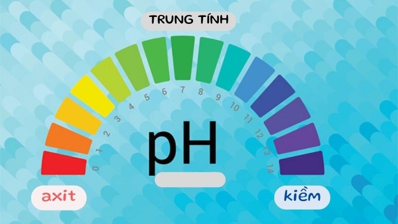 Độ pH da mặt thường trong khoảng 4,5 - 5,5