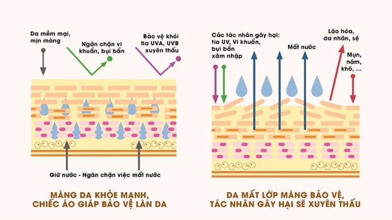 Sử dụng vitamin C sẽ giúp bảo vệ làn da khỏi ô nhiễm