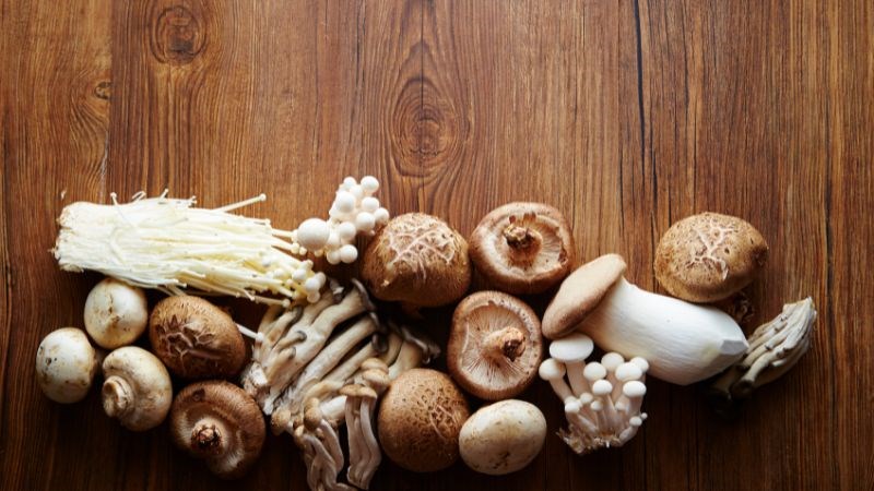 Nấm là thực phẩm chứa nhiều vitamin B12 mà hay được người ăn chay tin dùng