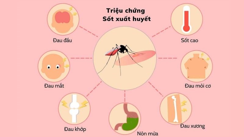 Sốt xuất huyết diễn biến cấp tính với các triệu chứng khác nhau