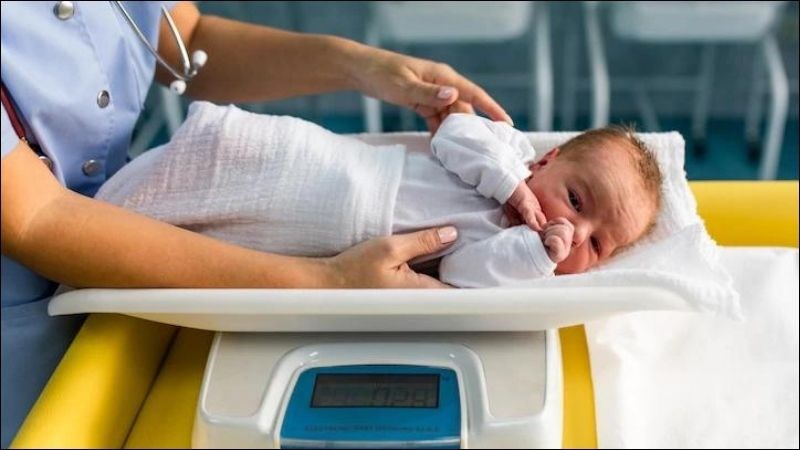 Sốt xuất huyết làm tăng nguy cơ suy dinh dưỡng bào thai và gây nhẹ cân ở trẻ sau sinh