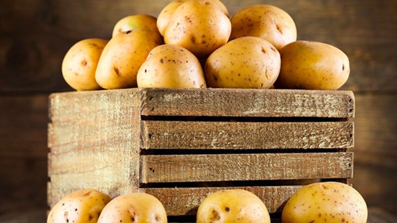 Bạn nên đặt trong hộp giấy hoặc hộp bìa cứng để bảo quản khoai tây được lâu hơn