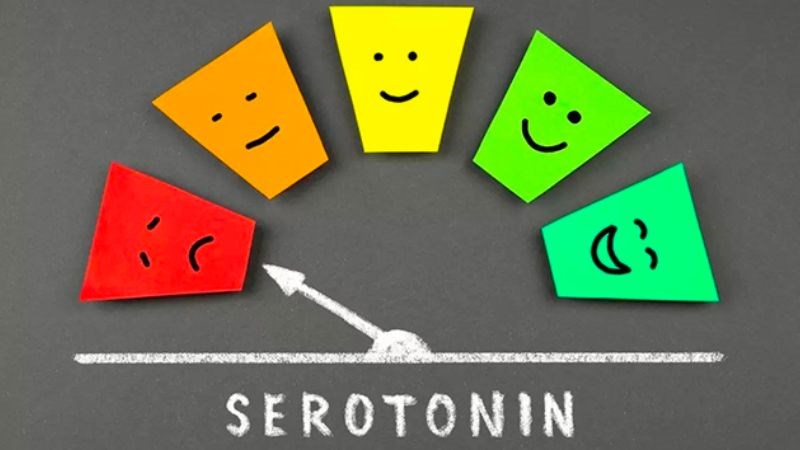Hội chứng Serotonin có thể gây rối loạn ý thức, kích động cho bệnh nhân