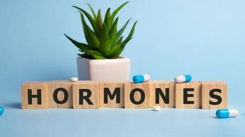 Chế độ ăn uống không hợp lý sẽ làm mất cân bằng hormone trong cơ thể