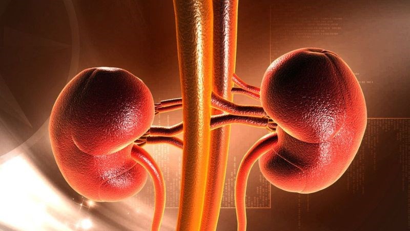 Hóa chất thải qua thận nên có nguy cơ gây suy thận