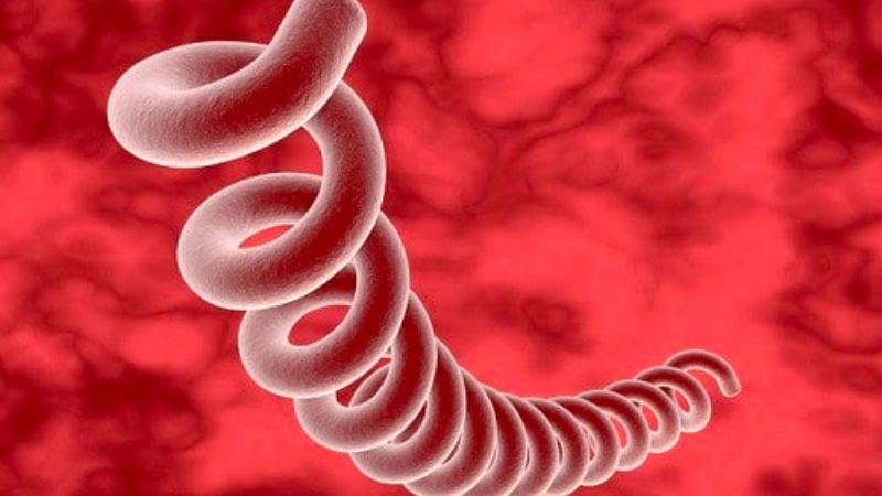 Giang mai lây truyền qua các vật dụng từng tiếp xúc với người nhiễm bệnh