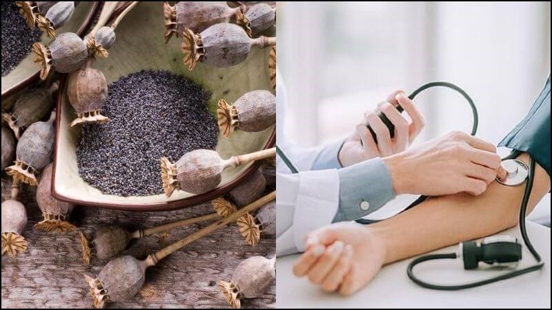 Hạt cây thuốc phiện có khả năng điều hòa huyết áp