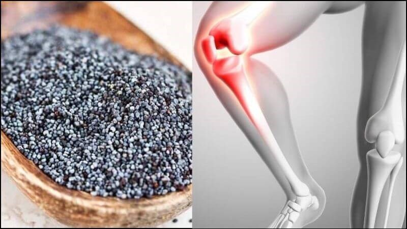 Hạt cây thuốc phiện giúp cải thiện sức khỏe của xương