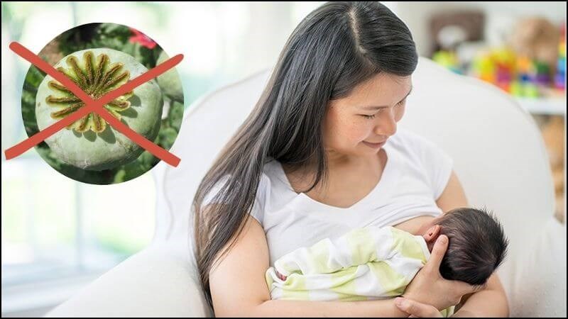 Phụ nữ mang thai và cho con bú không nên sử dụng cây thuốc phiện