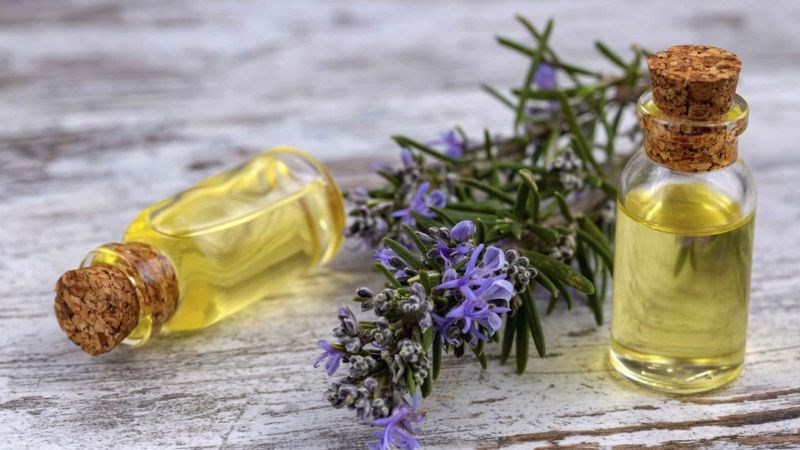 Bạn cần đảm bảo nguyên liệu và thiết bị làm tinh dầu không bị nhiễm khuẩn
