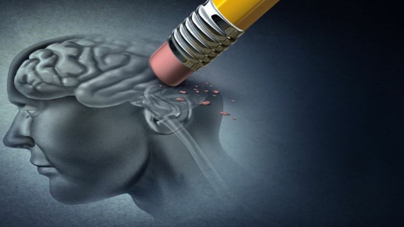 Tinh dầu hương thảo ngăn ngừa bệnh Alzheimer thông qua tác động chống oxy hóa