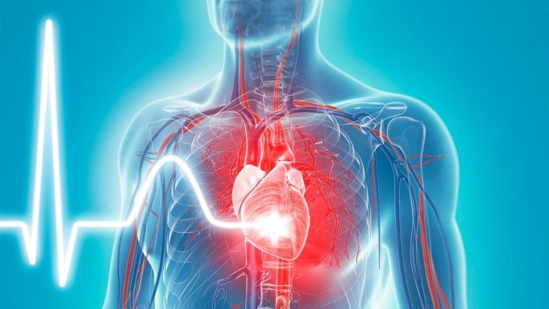 Tinh dầu hương thảo có khả năng làm giảm nhịp tim trong tình huống căng thẳng