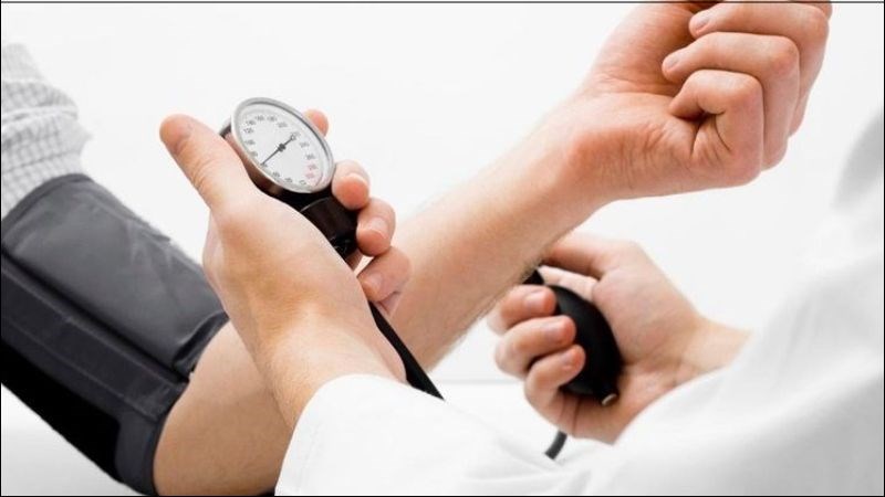 Hoa h&ograve;e c&oacute; t&aacute;c dụng tăng cường sức bền của mao mạch