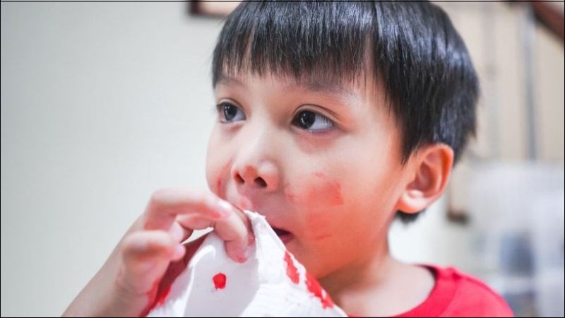 Tr&agrave; hoa h&ograve;e c&oacute; t&aacute;c dụng gi&uacute;p điều trị c&aacute;c bệnh xuất huyết như chảy m&aacute;u cam, trĩ...