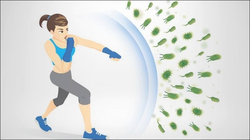 Nấm kim châm có thể tiêu diệt các vi khuẩn, virus trong cơ thể