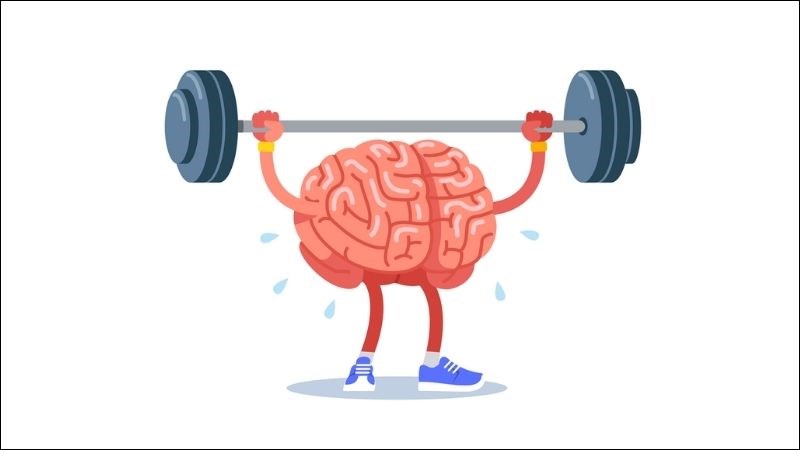 Nấm kim châm giúp cải thiện chức năng não bộ và khả năng ghi nhớ