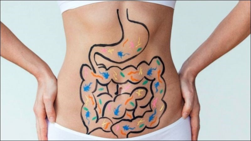 Nấm kim châm giúp tăng cường chức năng đường ruột 