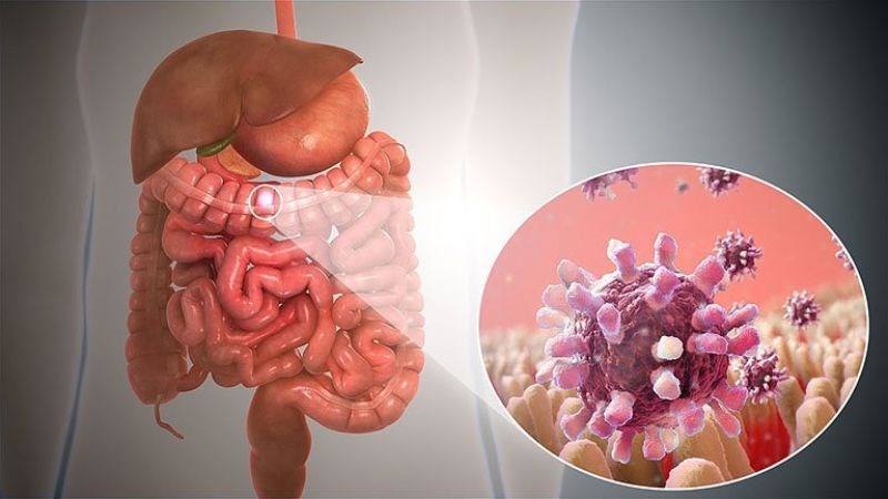 Quan hệ tình dục bằng miệng có thể gây viêm dạ dày do nhiễm khuẩn